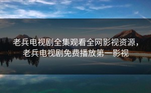 老兵电视剧全集观看全网影视资源，老兵电视剧免费播放第一影视
