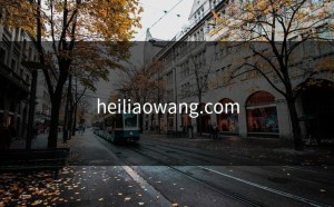 heiliaowang.com