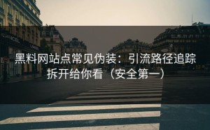 黑料网站点常见伪装：引流路径追踪拆开给你看（安全第一）