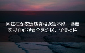 网红在深夜遭遇真相欲罢不能，蘑菇影视在线观看全网炸锅，详情揭秘