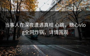 当事人在深夜遭遇真相 心跳，糖心vlog全网炸锅，详情围观
