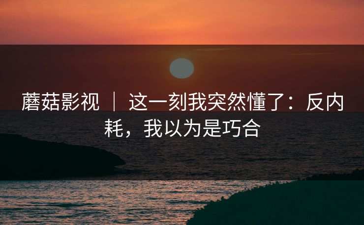 蘑菇影视 ｜ 这一刻我突然懂了：反内耗，我以为是巧合