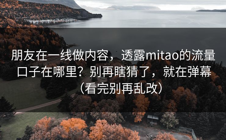 朋友在一线做内容，透露mitao的流量口子在哪里？别再瞎猜了，就在弹幕（看完别再乱改）